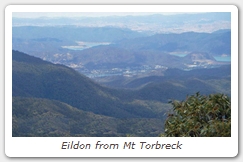 Eildon from Mt Torbreck